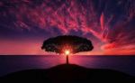 Il tuo corpo � qui
