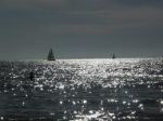 Sole d�amore