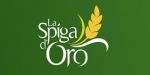 La spiga più antica