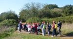 Pioggia nel sughereto