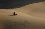 Il deserto intorno