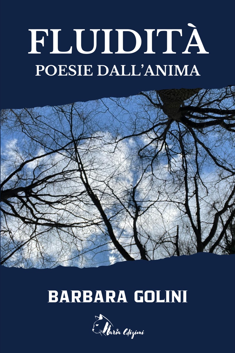 Copertina di Fluidità